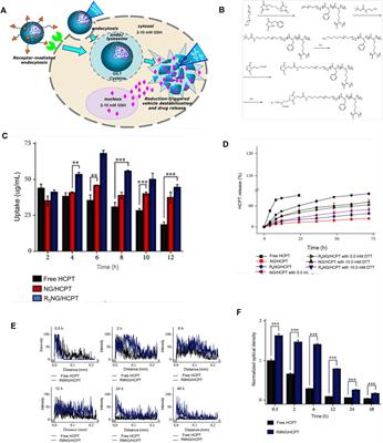 Functional Nanomedicines for Targeted Therapy of Bladder Cancer